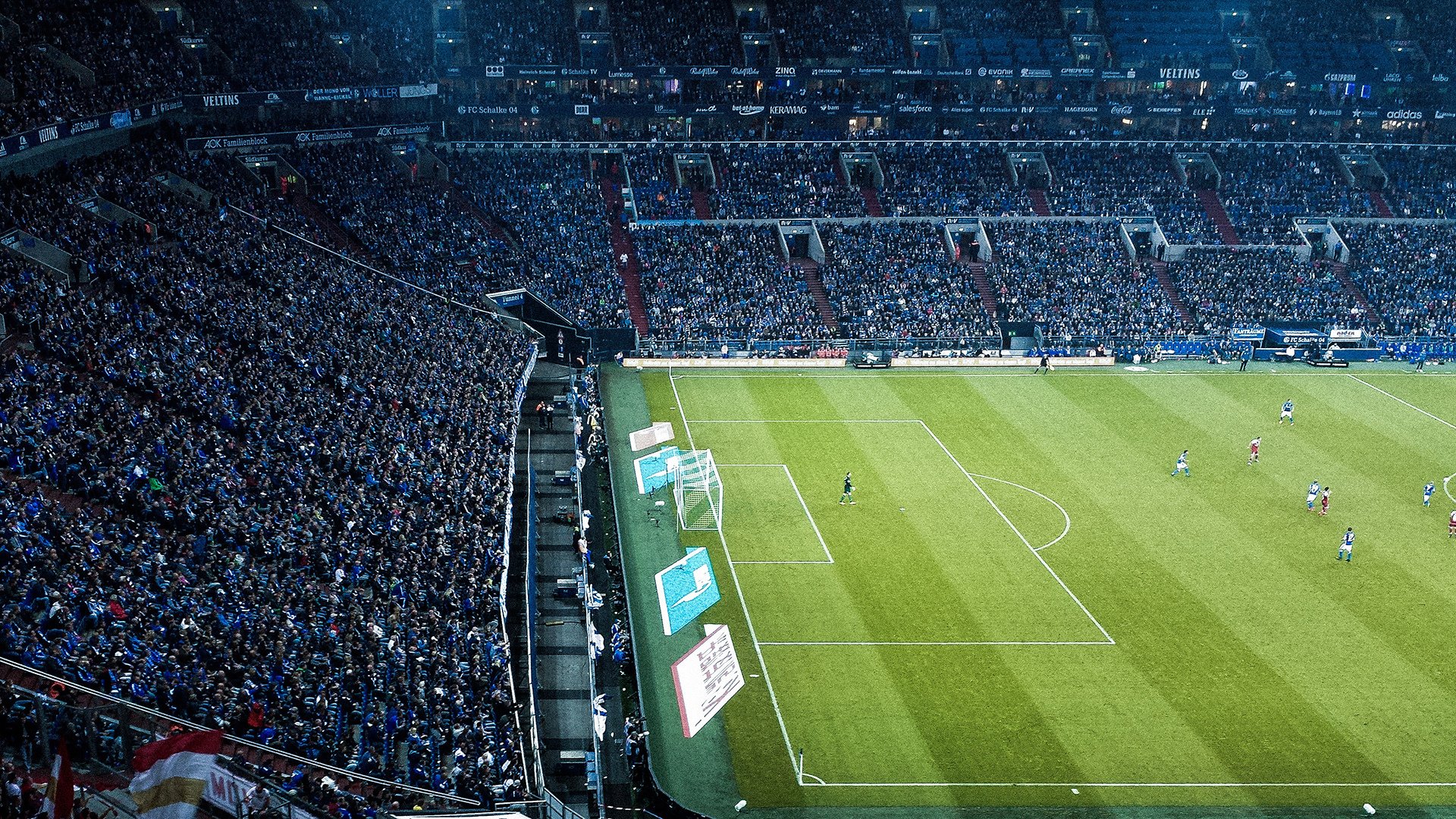 施瓦茨800米自由泳全程稳扎稳打